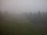 16 : 18