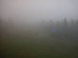 16 : 38