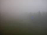 16 : 42