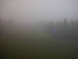 16 : 46