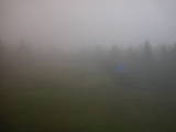 16 : 50