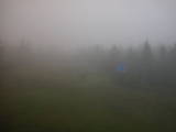 16 : 54