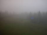 08 : 06