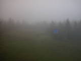 08 : 42