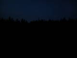 22 : 22
