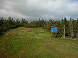 17 : 42