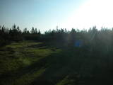 06 : 54