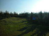 07 : 50