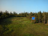 19 : 42