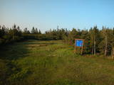 19 : 46