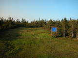 19 : 50