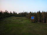 20 : 50