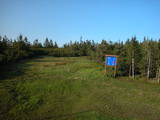 19 : 14