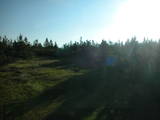 06 : 50
