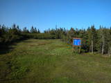 18 : 42
