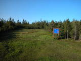 19 : 26