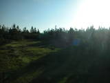 06 : 50