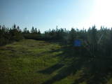 07 : 46