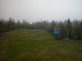 16 : 50