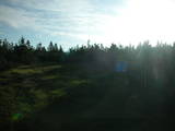 06 : 38