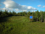 19 : 26