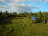 19 : 50
