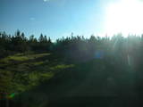 06 : 42