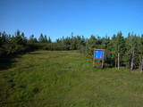 18 : 46