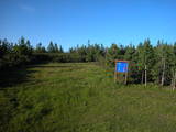 19 : 22