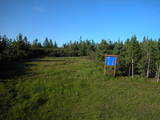 19 : 26