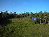 19 : 38