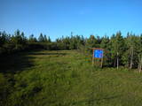 19 : 42