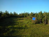 20 : 10