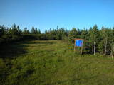 19 : 42
