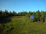19 : 46