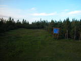 20 : 50