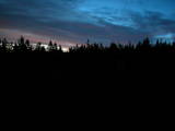 03 : 46