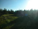 06 : 54