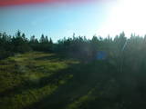 07 : 06