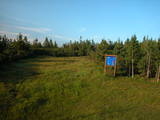 19 : 42