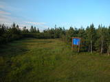 19 : 46