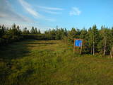 19 : 54