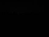 23 : 06