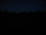 20 : 50
