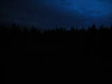 20 : 30