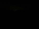 21 : 26