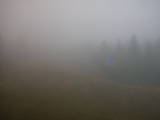 09 : 46