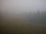 09 : 50