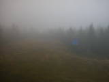 13 : 26