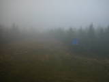 13 : 30